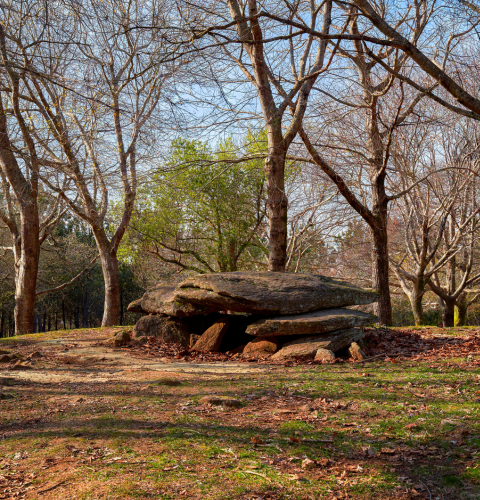 Dolmen Chan da Arquiña, restos prehistóricos
