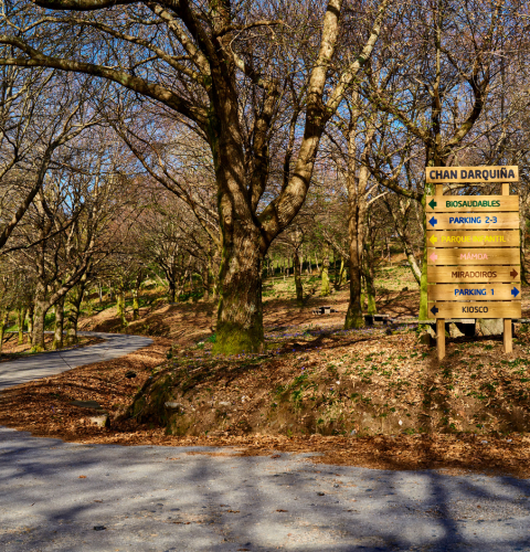 Ruta de senderismo Chan da Arquiña